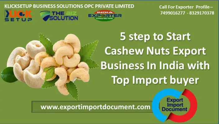 5 step to Start Cashew Nuts Export Business In India with Top Import buyer